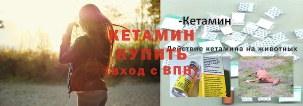 сатива Балахна