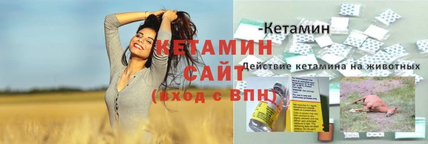 сатива Балахна