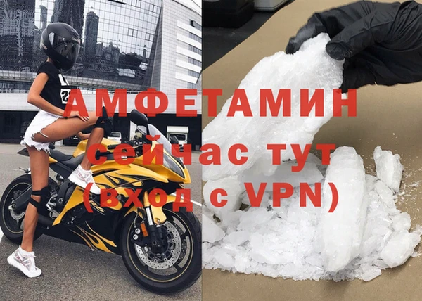 сатива Балахна