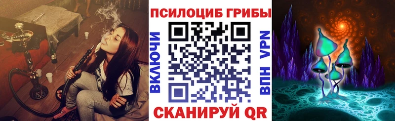 Псилоцибиновые грибы ЛСД  Купить  Данилов 