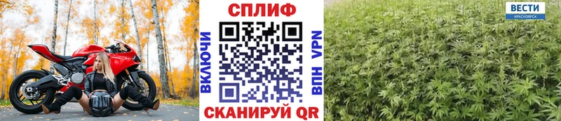 Купить где  Данилов  Шишки марихуана индика 